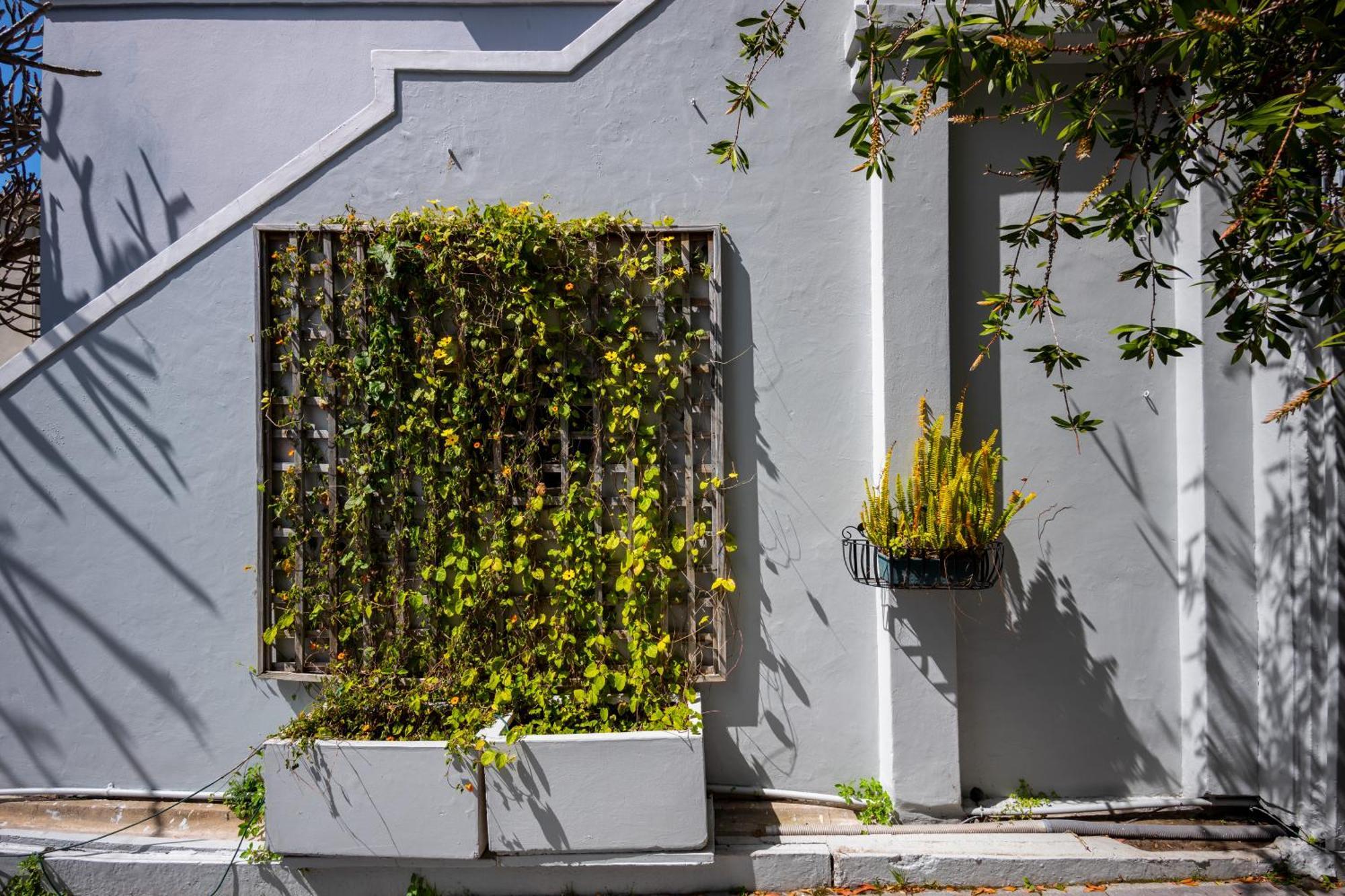 Apartment Barry Hall Apartments Cape Town
